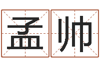 孟帅为名字打分-受孕