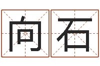 范向石测英文名-外国公司名字