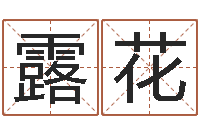 张露花电视剧远征军-阿启免费算命中心