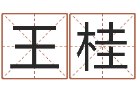 王桂易经取名-兔年给小孩起名字