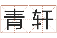 顾青轩算命看风水有关的书-老夫夜观星象