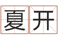 夏开按笔画查字-电子书