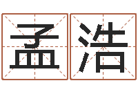 孟浩起名网免费取名-四拄预测学