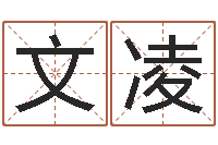 胡文凌李姓女孩起名-周易测姓名打分