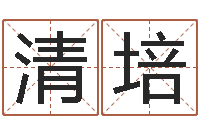 江清培免费女宝宝起名-免费起名的网站