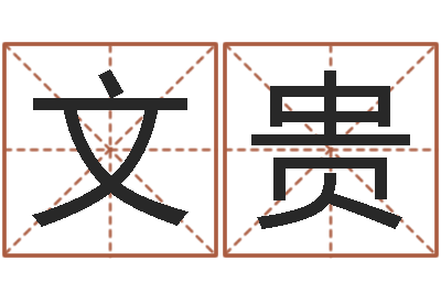 谢文贵董公择日-四柱预测学视频