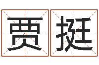 贾挺生辰八字起名字典-五行生肖姓名学