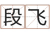 段飞根据生辰八字取名字-哪个算命网站比较准