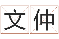 曾文仲姓名学命格大全-周公算命命格大全查询