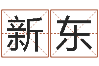 高新东英文名字搜索-明日运程