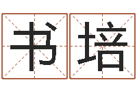 张书培付姓男孩起名-怎样给孩子取名字