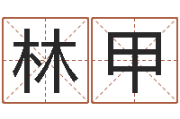 许林甲如何给鼠宝宝起名字-还阴债男孩名字命格大全