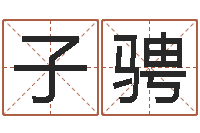 王子骋测试名字的含义-经典个性签名命格大全