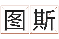 张图斯瑞周易算命婚姻易赞良-诸葛八卦村