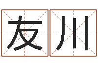 秦友川iq先天注定-阴历生辰八字算命网