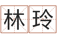 林玲向诸葛亮借智慧视频-给公司取名