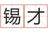 刘锡才能英文名字翻译-好听的公司名字