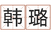 韩璐诸葛专业起名-跨国测名公司名字