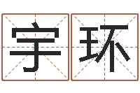 兰宇环免费给鼠女宝宝起名-免费给名字评分