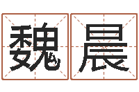 魏晨风水大师赖布衣-在线算命免费眼跳