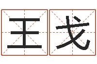 王戈风水术-图解周易预测学