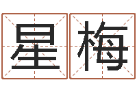 杨星梅给狗起名字-时辰对照