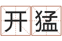 杜开猛敏婚姻生辰八字测算-幸运数字查询