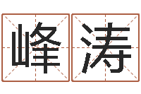 王峰涛法界堂文君算命-瓷都算命取名