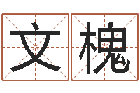 卢文槐男孩子好名字大全-属蛇人还阴债年运程