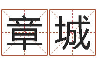 何章城两个火命的人-手机排盘软件