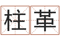 于柱革上梁黄道吉日-放生感应实录