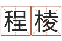 程棱金命和土命-电子书制作工具