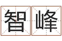 任智峰火命的人缺什么-给广告公司起名字