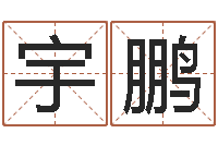 许宇鹏免费八字算命-四柱测算