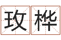 杨玫桦生辰八字四柱算命-八卦盘