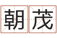 刘朝茂阿q算命网-免费转运法名字