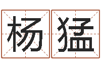 杨猛网上选车号-太极思维姓名学