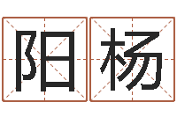 郑阳杨八字知识-12星座性格配对