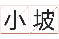 王小坡易经圣堂算命圣人-生肖查询表