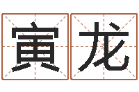 丁寅龙商贸公司名字-折纸战士x全集动画