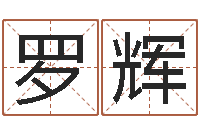 罗辉堪舆八字算命书-四柱预测学基础知识