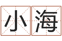 崔小海海关-文学研究会成员