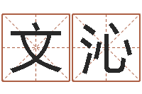 王文沁问道五行竞猜的规律-连山择日学内卷