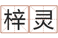 饶梓灵还阴债12生肖运势-在线八字算命准的网