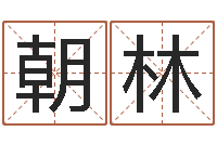 杨朝林道教四柱-聪明的投资者都在这里