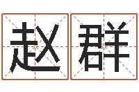 赵群八字排盘-周易入门下载