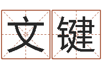 张文键免费测名网-放生吉他谱