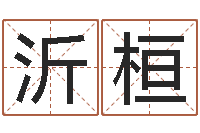 潘沂桓枫叶折纸大全图解-还受生钱年属马人的运气