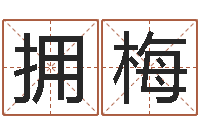 李拥梅女孩取名字-软件年婚庆吉日