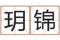 王玥锦童子命兔年本命年运势-学习八字的书